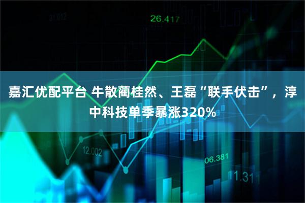 嘉汇优配平台 牛散蔺桂然、王磊“联手伏击”,淳中科技单季暴涨320%