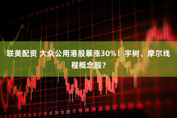 联美配资 大众公用港股暴涨30%！宇树、摩尔线程概念股？