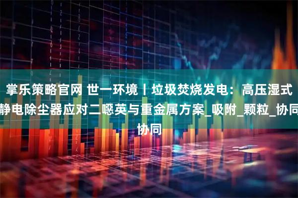 掌乐策略官网 世一环境丨垃圾焚烧发电：高压湿式静电除尘器应对二噁英与重金属方案_吸附_颗粒_协同